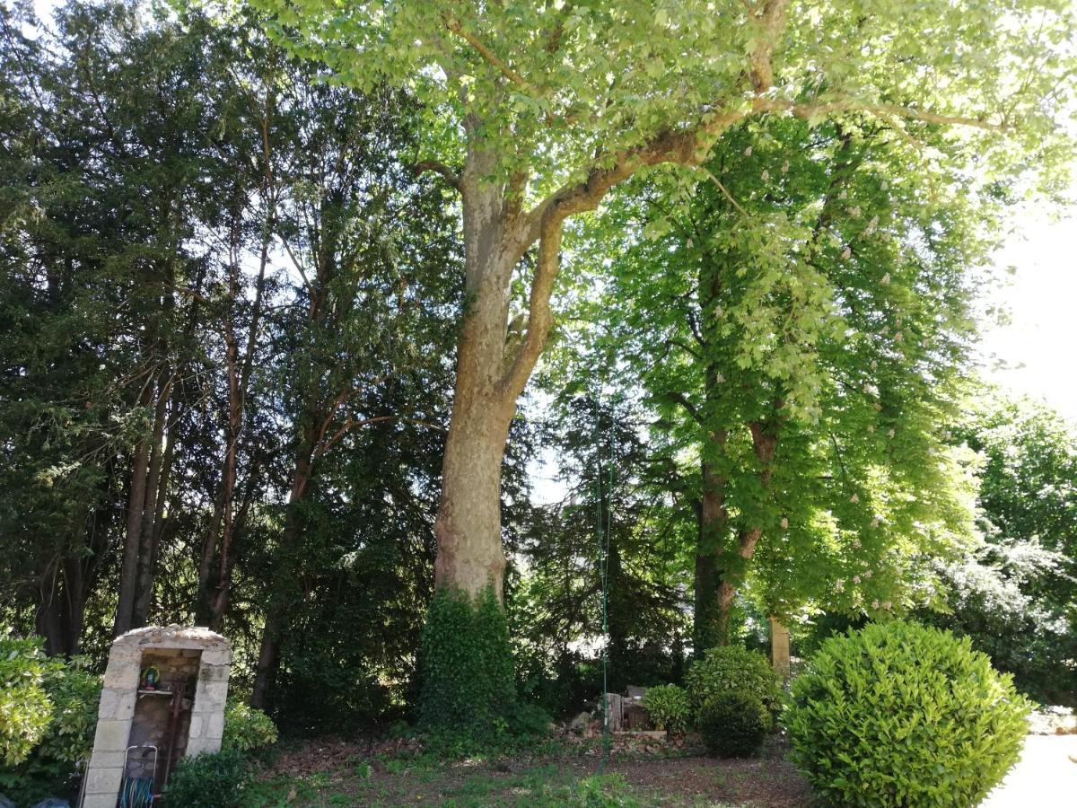مبيت وإفطار آزاي لو ريدو Manoir De La Touche المظهر الخارجي الصورة
